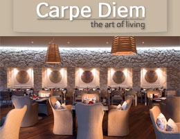 Carpe Diem LLC