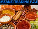 Mzanzi Trading FZE