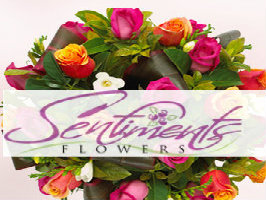 Sentiments Flowers Trading